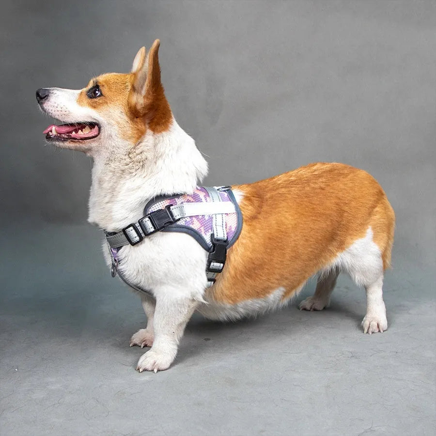 Colourful reflective pet harness with neck protection anti-strangulation design in polyester