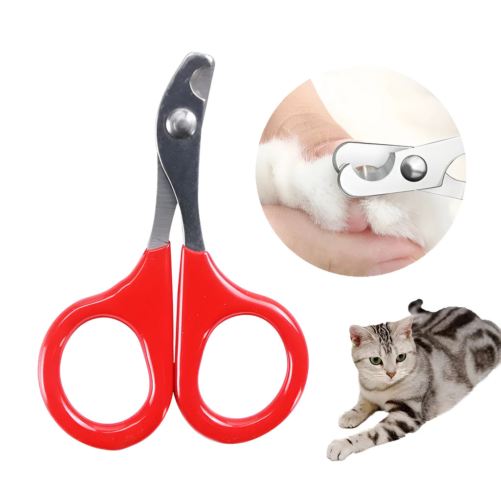 Professional pet nail clippers with stainless steel blade and coloured rubber-grip handle for dogs and cats