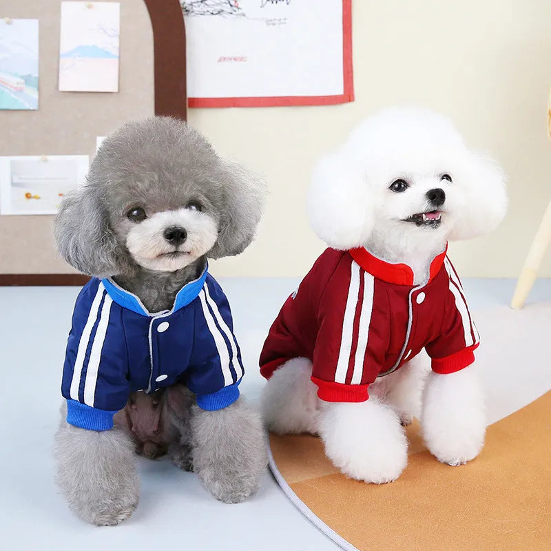 Red and blue V-shaped splicing dog coat on a mannequin showing size range XS to 3L