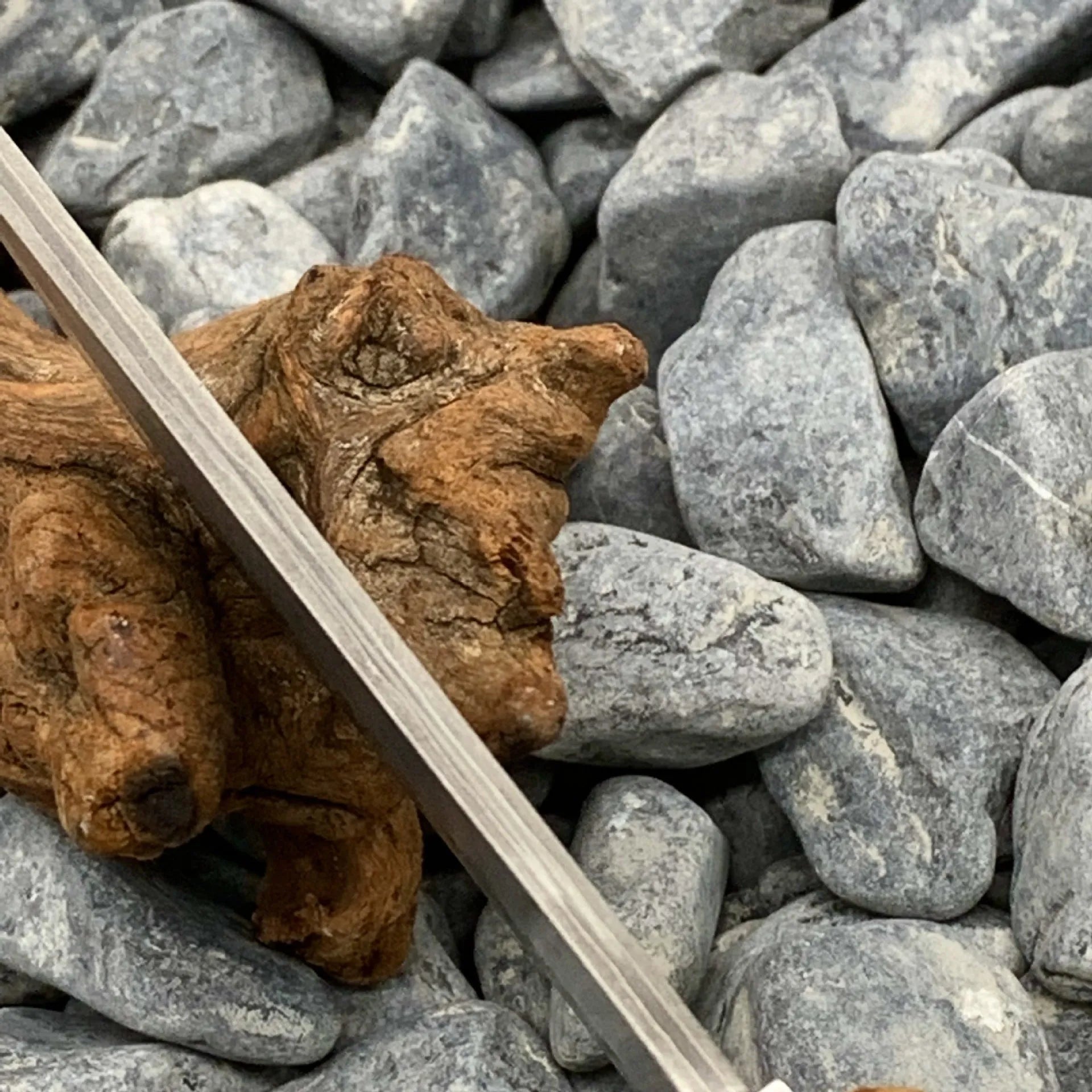 White Shadow Damascus pattern outdoor short knife with Thuja wood handle showing 18cm length
