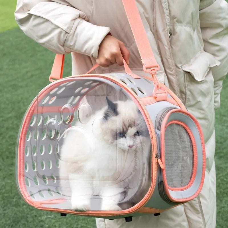 Large transparent hard-shell cat backpack carrier in a choice of colours for pets up to 9kg.