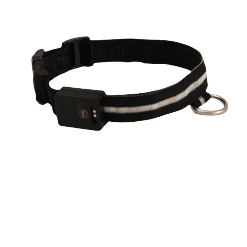 Black LED luminous dog collar with hand rope for night-time walking safety