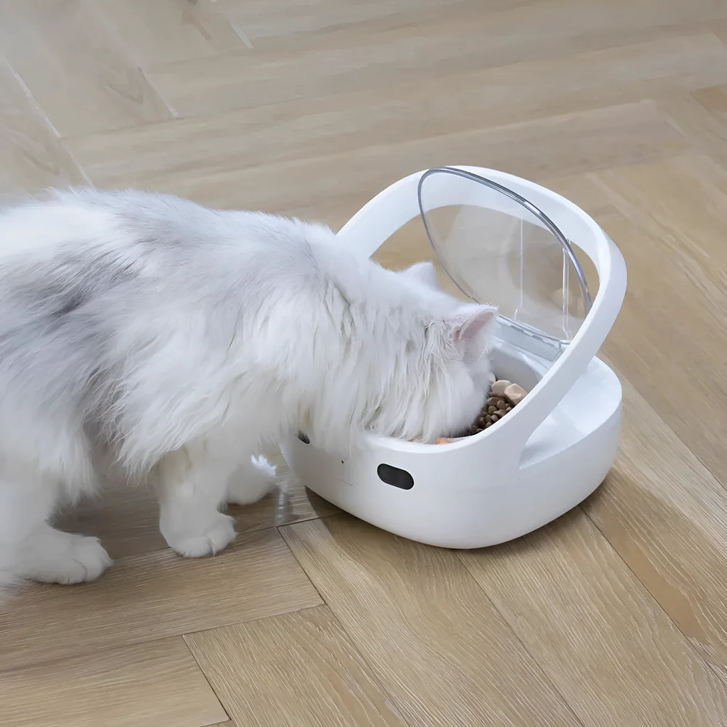 Smart pet feeder in white plastic with food bowl and ice box for cats