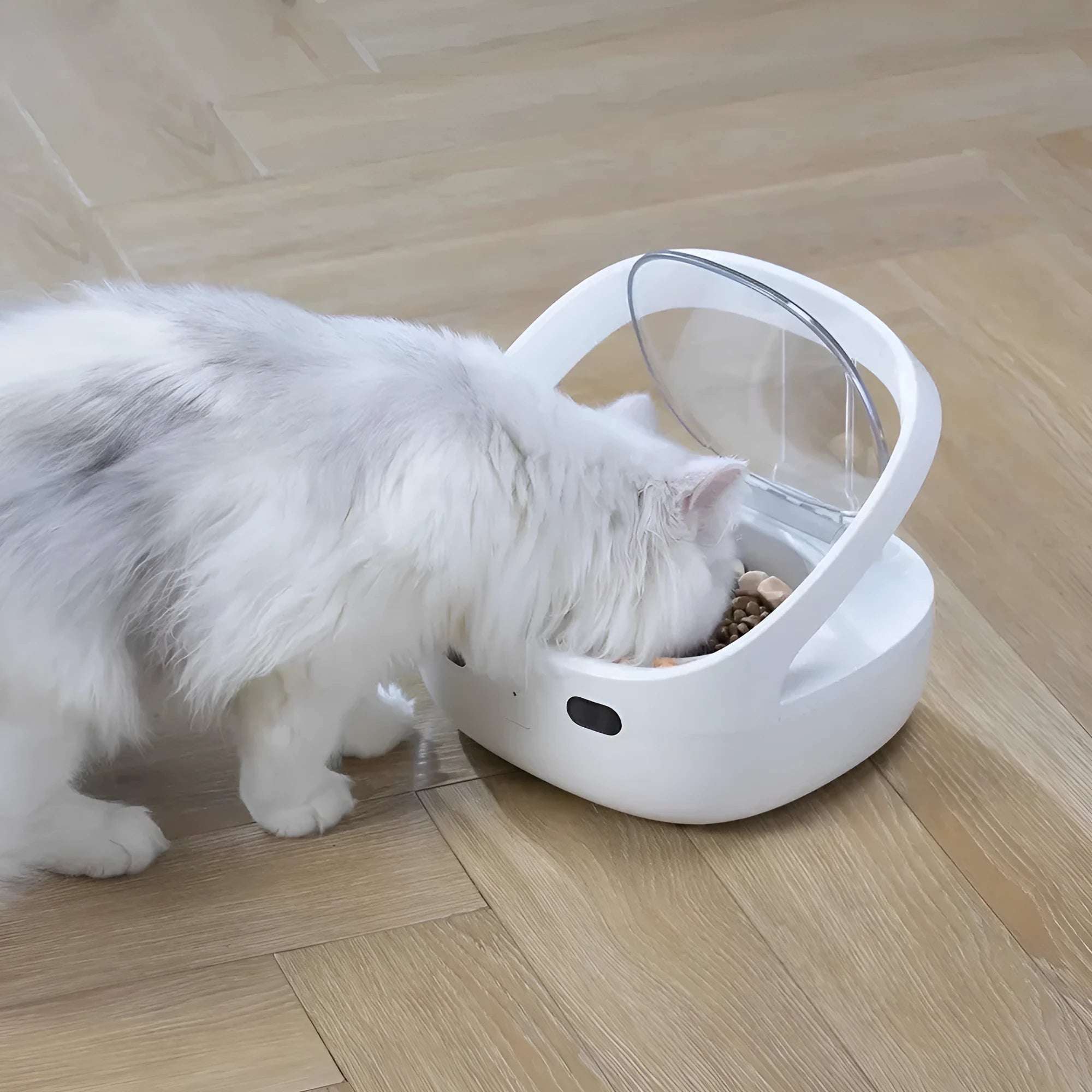 Smart pet feeder in white plastic with food bowl and ice box for cats
