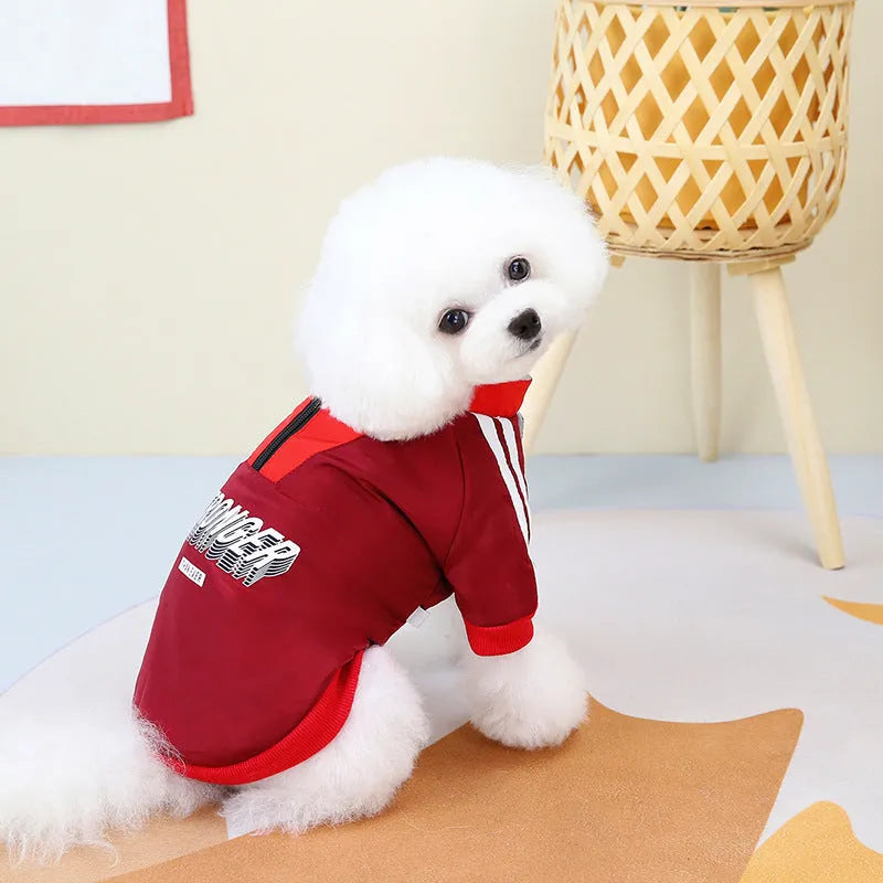 Red and blue V-shaped splicing dog coat on a mannequin showing size range XS to 3L