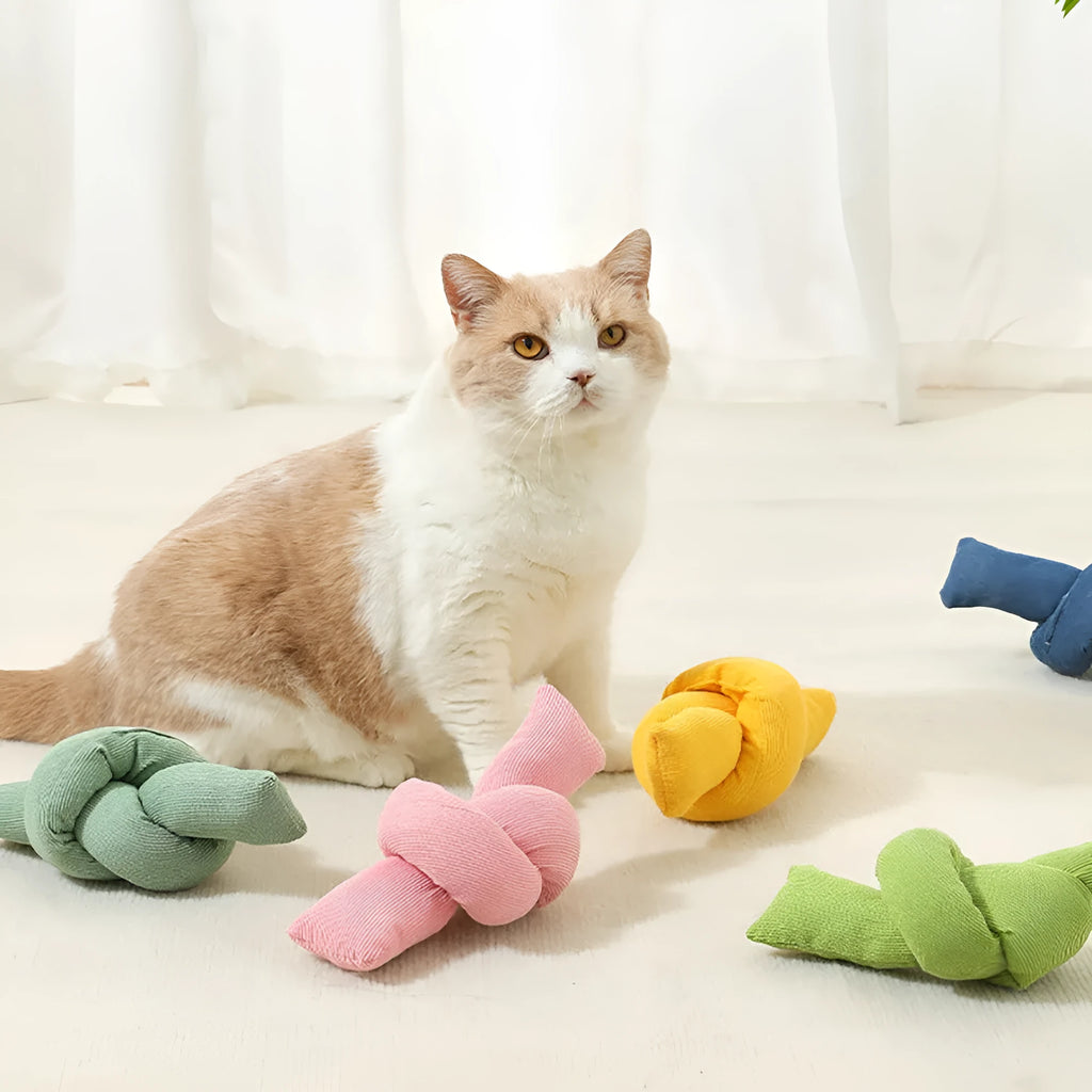 White knotted cotton dog rope toy for tug of war and dental flossing.