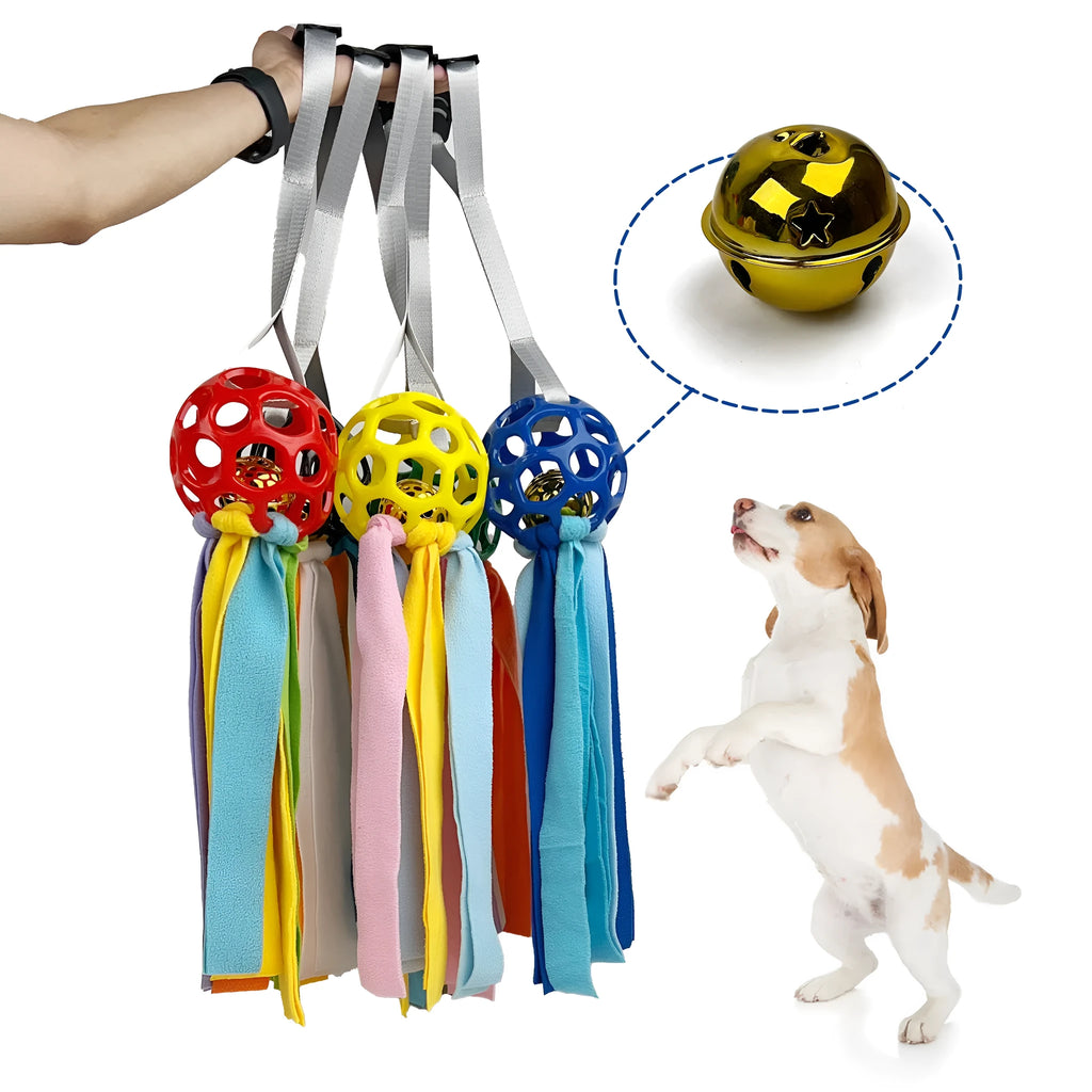 TPR hollow pet ball with bell in five colours: black, blue, green, red, yellow