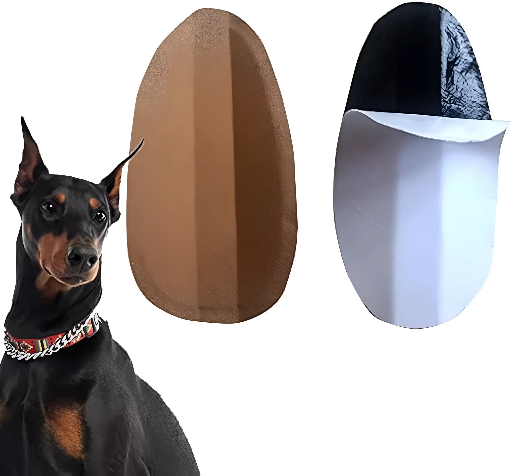 A dog ear support patch sticker shown next to a sizing chart for Doberman, Sheltie, and Corgi puppies.