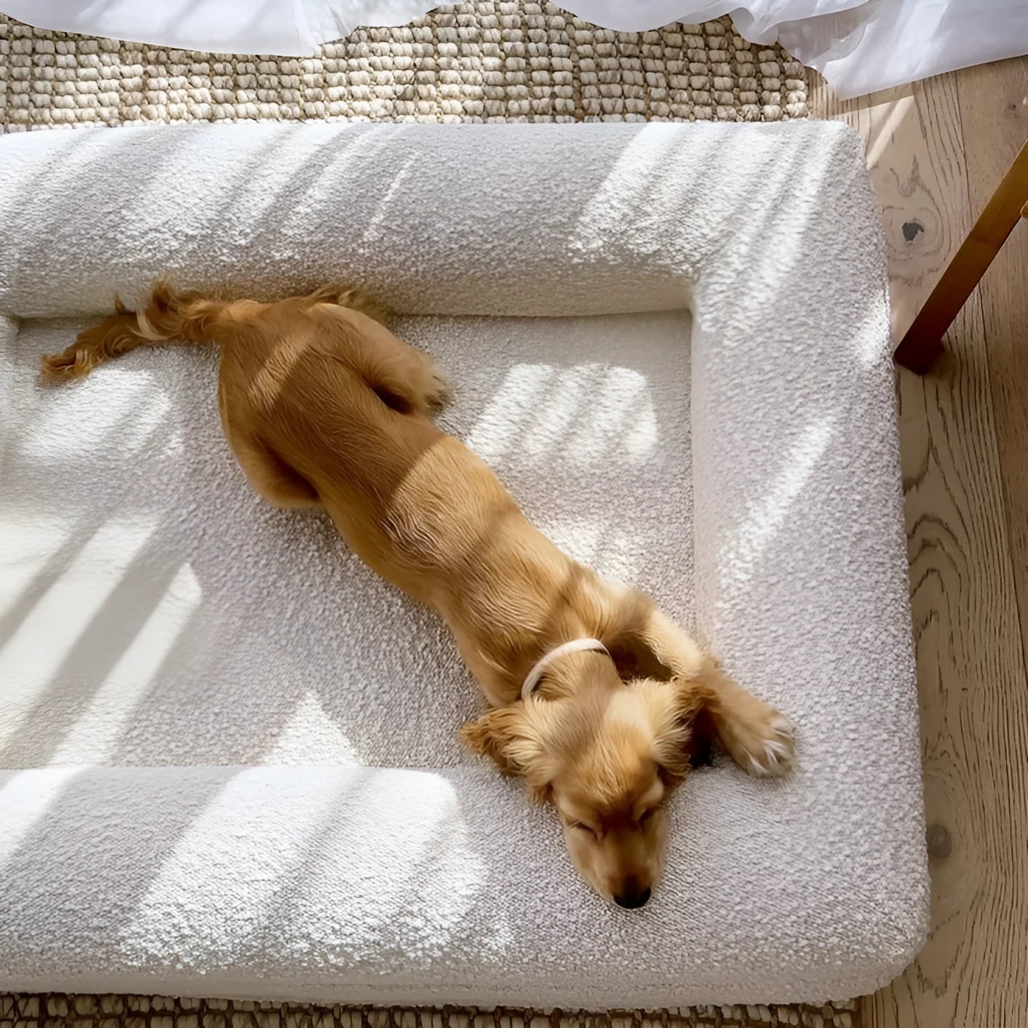 Rectangular beige cloth dog bed with raised sofa-style edges in four available sizes