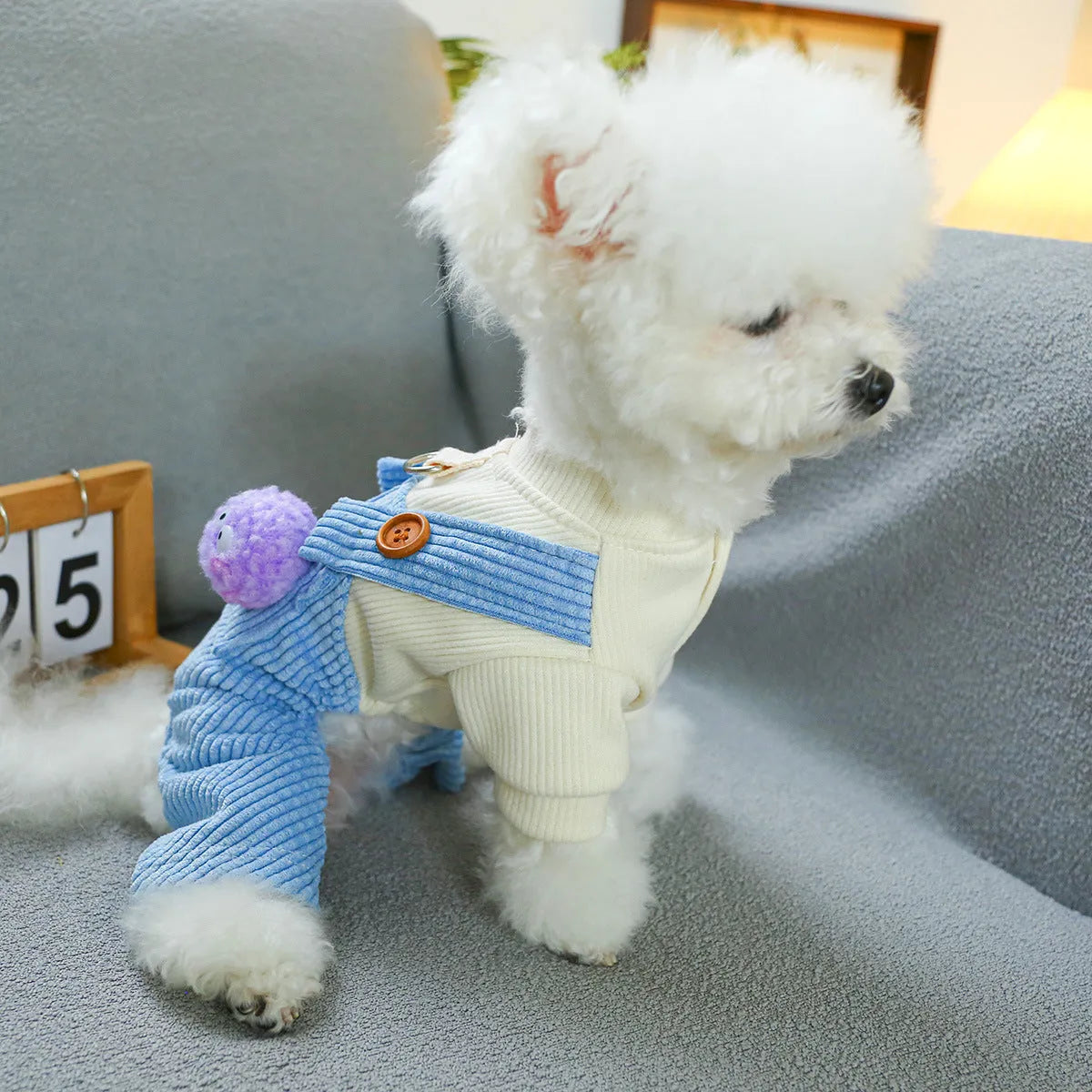 Elf-style polyester pet overalls on small dog or cat, casual design, available in sizes XS to XL
