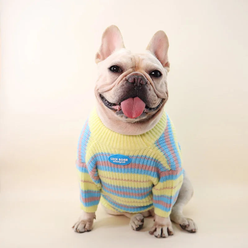 Blue and yellow striped wool dog sweater for small breeds showing size options from XS to XXL