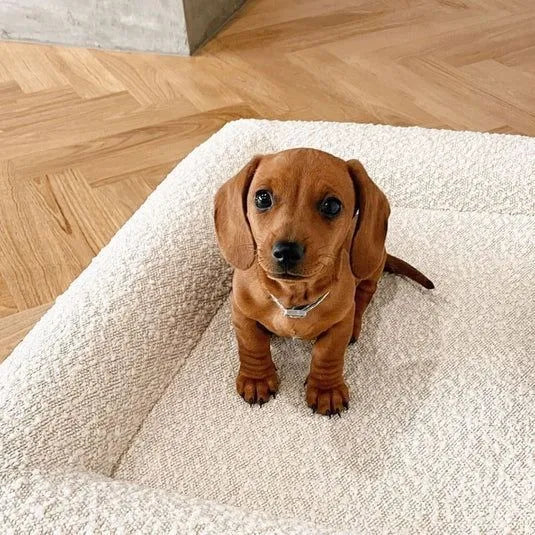 Rectangular beige cloth dog bed with raised sofa-style edges in four available sizes