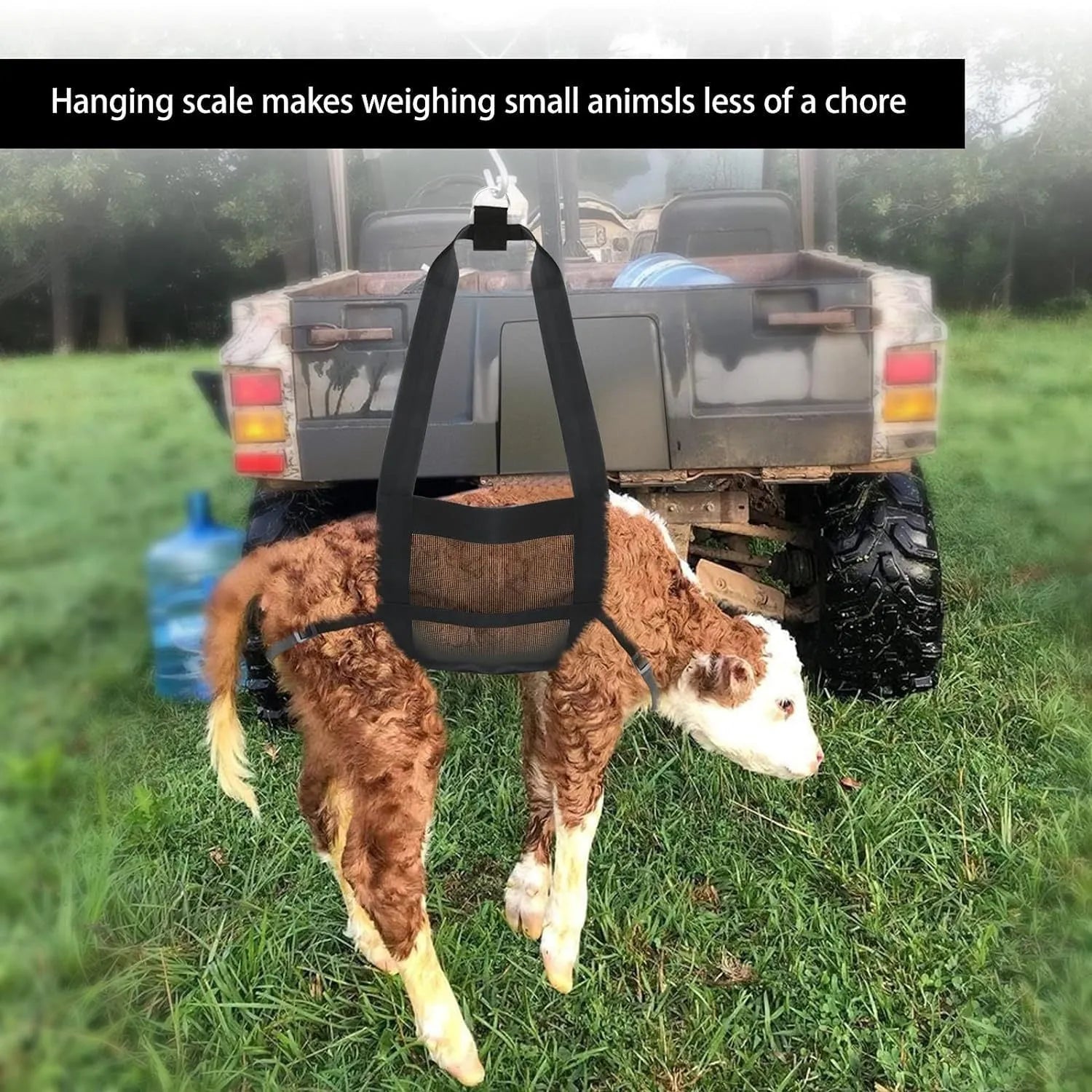 Large black sling for weighing dogs and livestock calves, dimensions 35cm by 150cm.