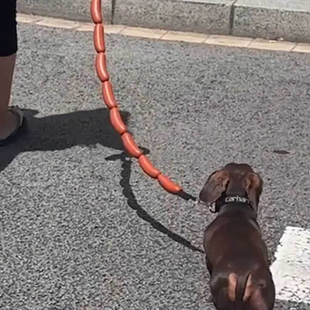 Brown sausage-design hand holding rope for cats, total length 108cm with grip tape