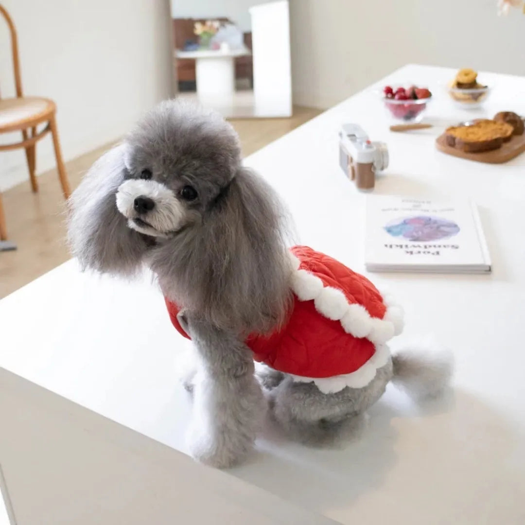 Red Chinese New Year dog clothing with thick cotton collar and traditional knot decoration