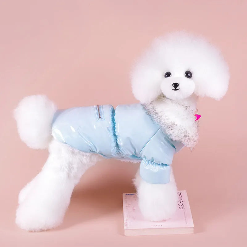 British-style blue cotton dog jacket for autumn and winter warmth on a pet