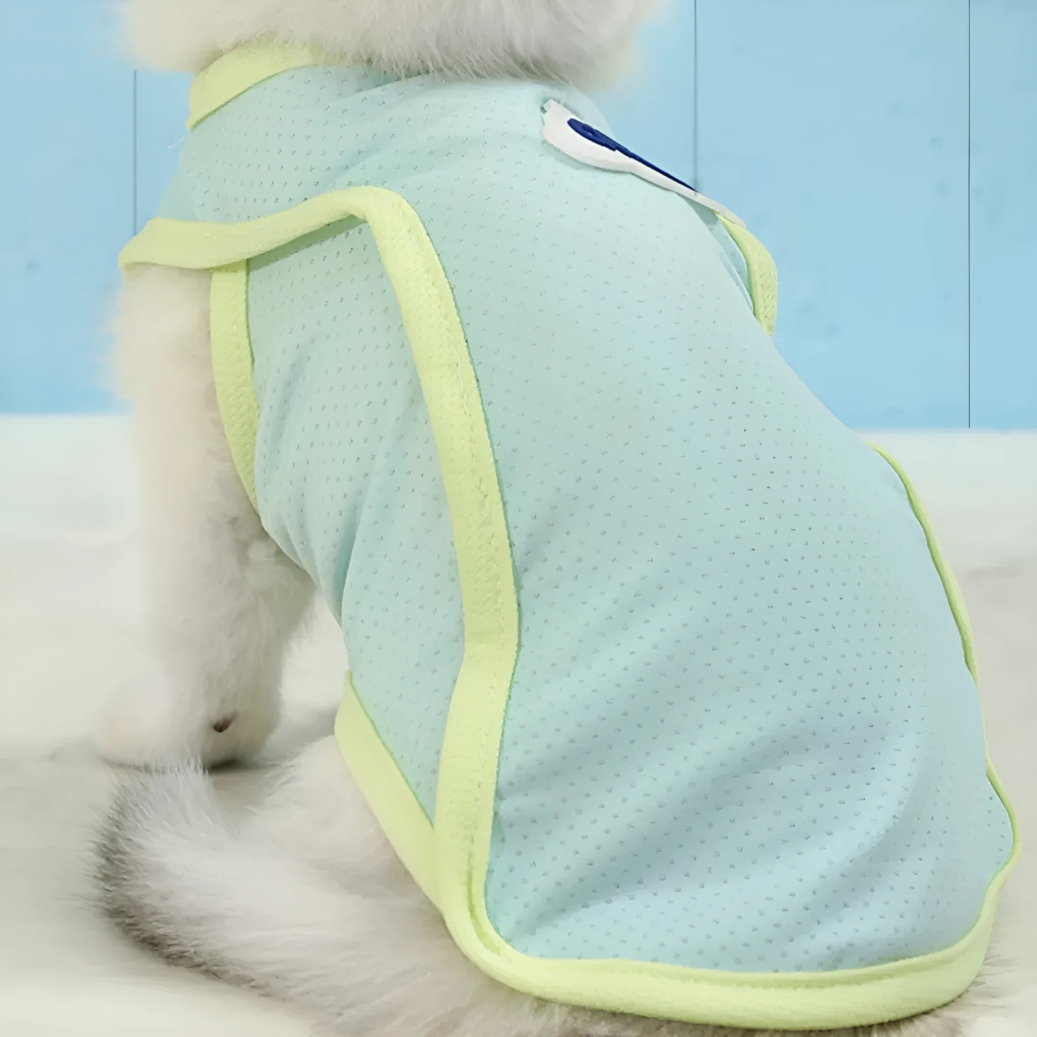 Grass green thin polyester vest for a cat on a white background, showing anti-lint sports style.