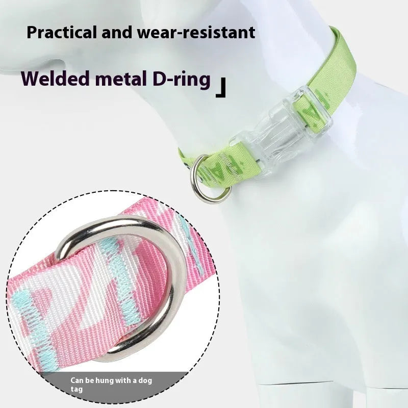 Adjustable nylon dog collar with vibrant cartoon gradient colours and a metal buckle on a green background.