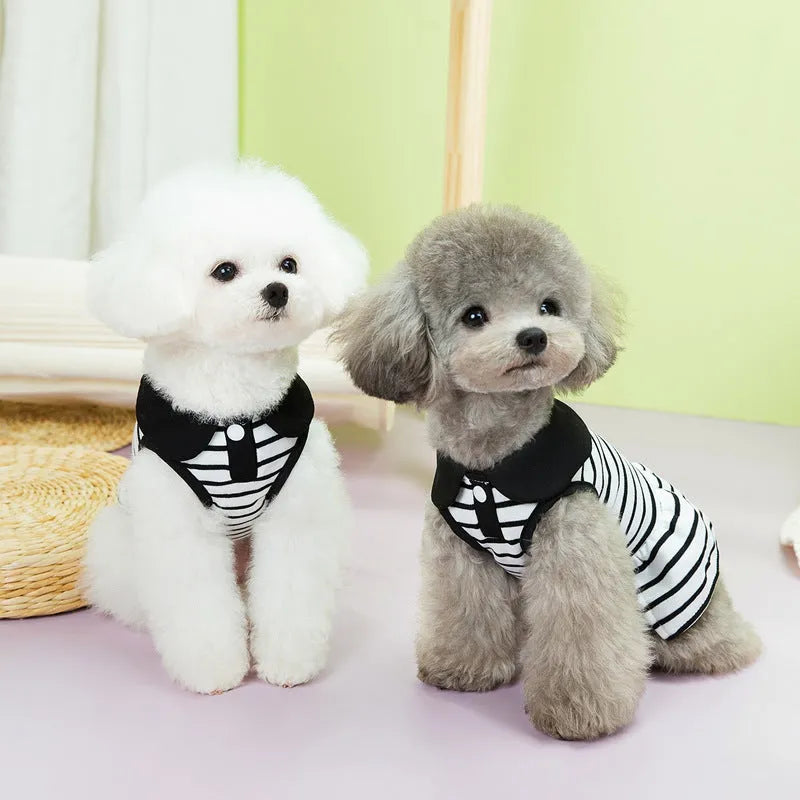 Striped cotton pet T-shirt and skirt summer outfit set for dogs