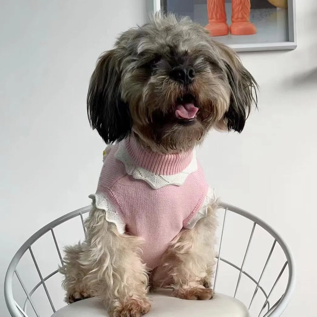 Green and pink blossom flower patterned sweater for a small dog on a sofa.