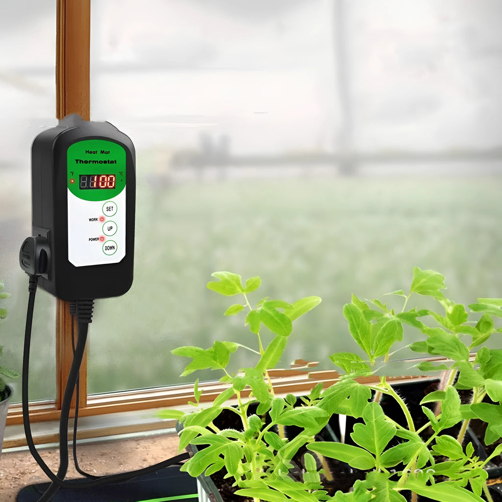 BH1912020 digital temperature controller with display showing temperature reading