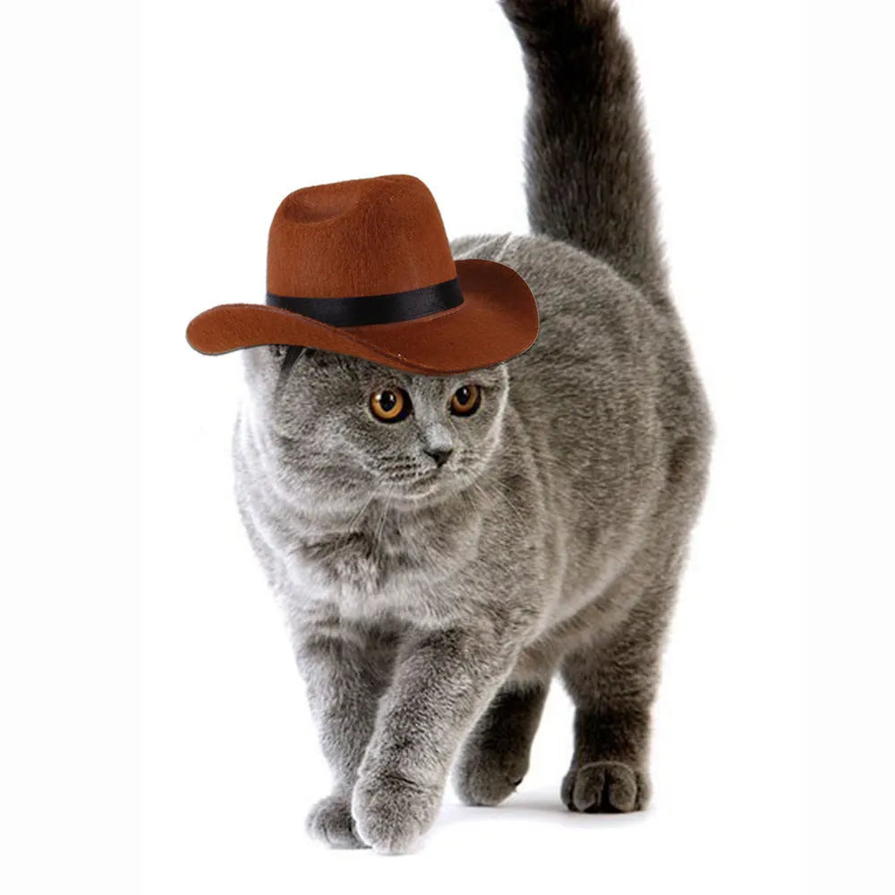 Adjustable pet cowboy hat in four colours on dog model showing size proportions