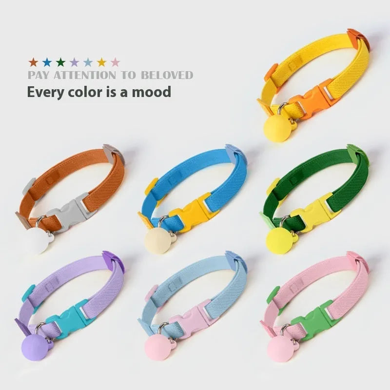 A solid colour elastic dog collar for small breeds, shown on a dark background, adjustable between 22 and 32 centimetres.
