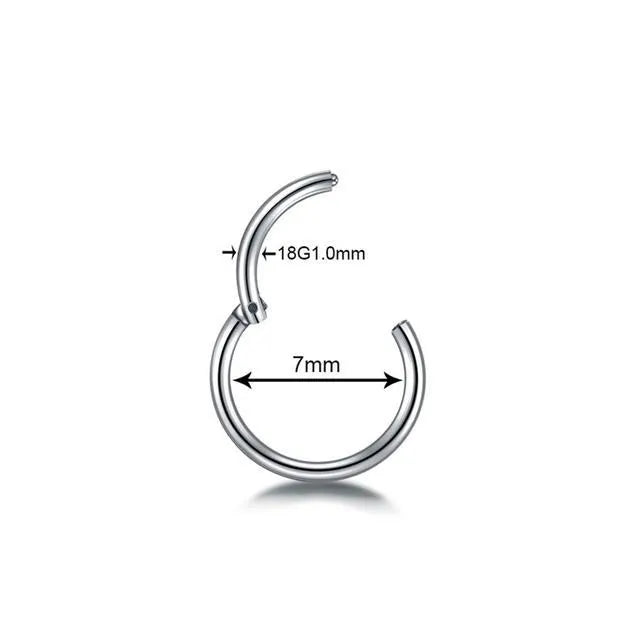 G23 titanium segment hinged clicker ring for septum nose piercing in rainbow colour finish