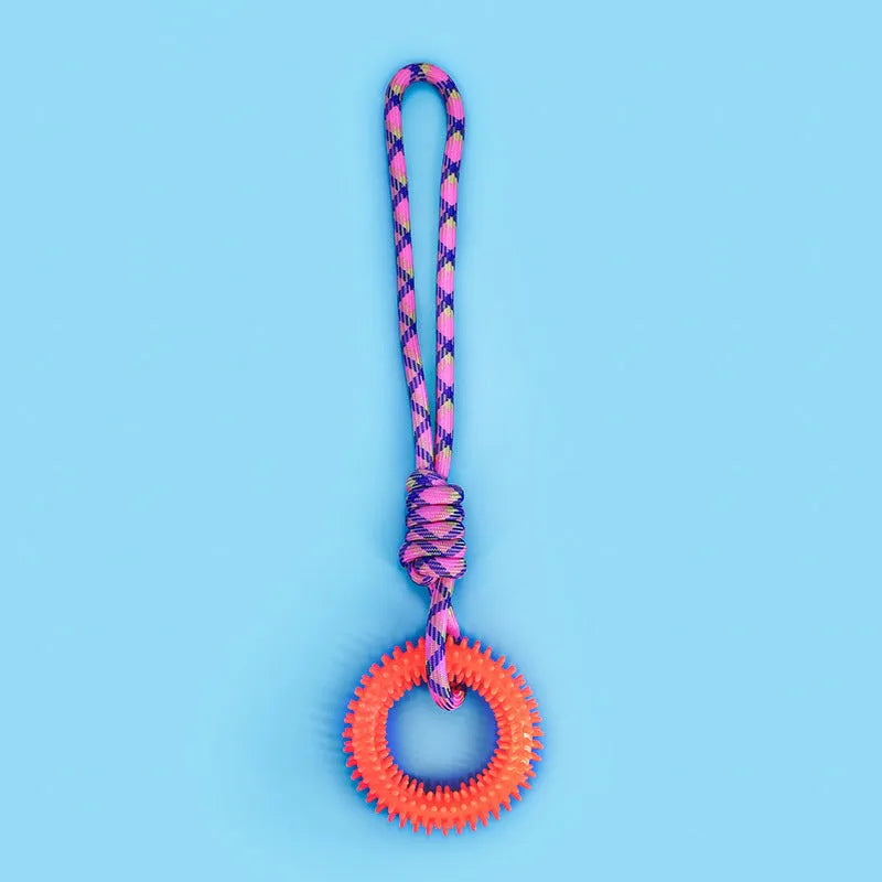 Long blue braided rope dog toy with a central knot, shown on a white background