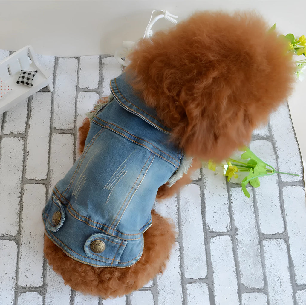 Small dog wearing a denim vest with a retro scratch pattern design.