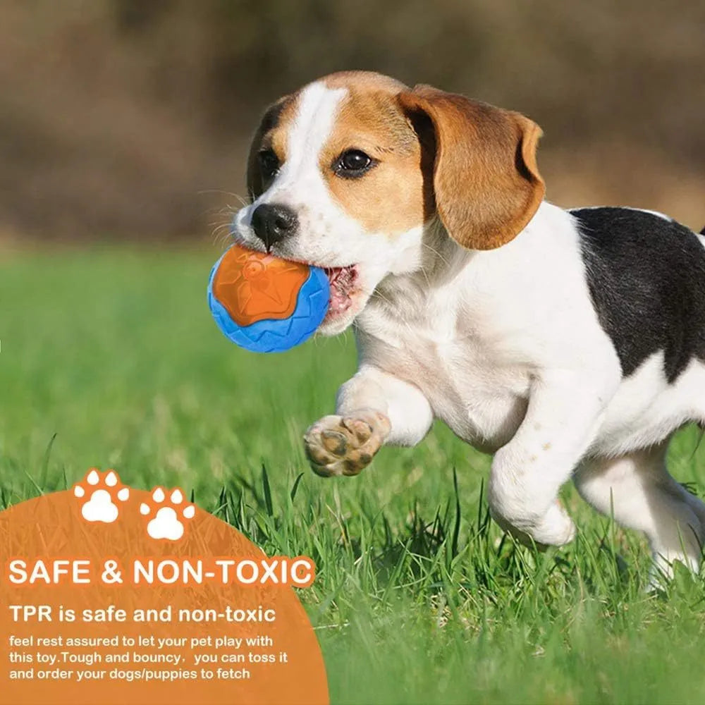 Set of four squeaky dog toys: a blue ball, a red barbell, and two orange tyres, shown on grass.