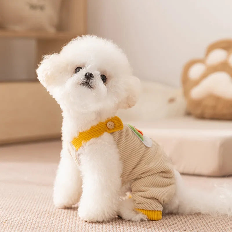 Small dog wearing beige corduroy overalls with rainbow print, autumn winter outfit