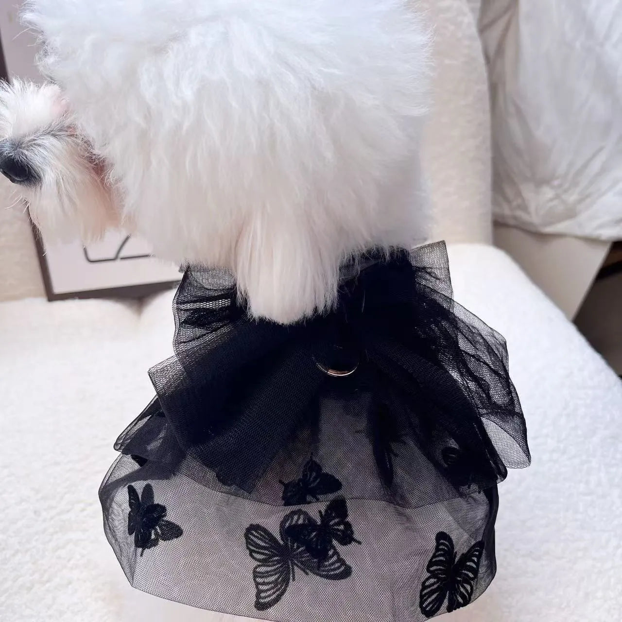 Black layered tulle princess skirt on a small dog, showing the full skirt silhouette and secure fit.