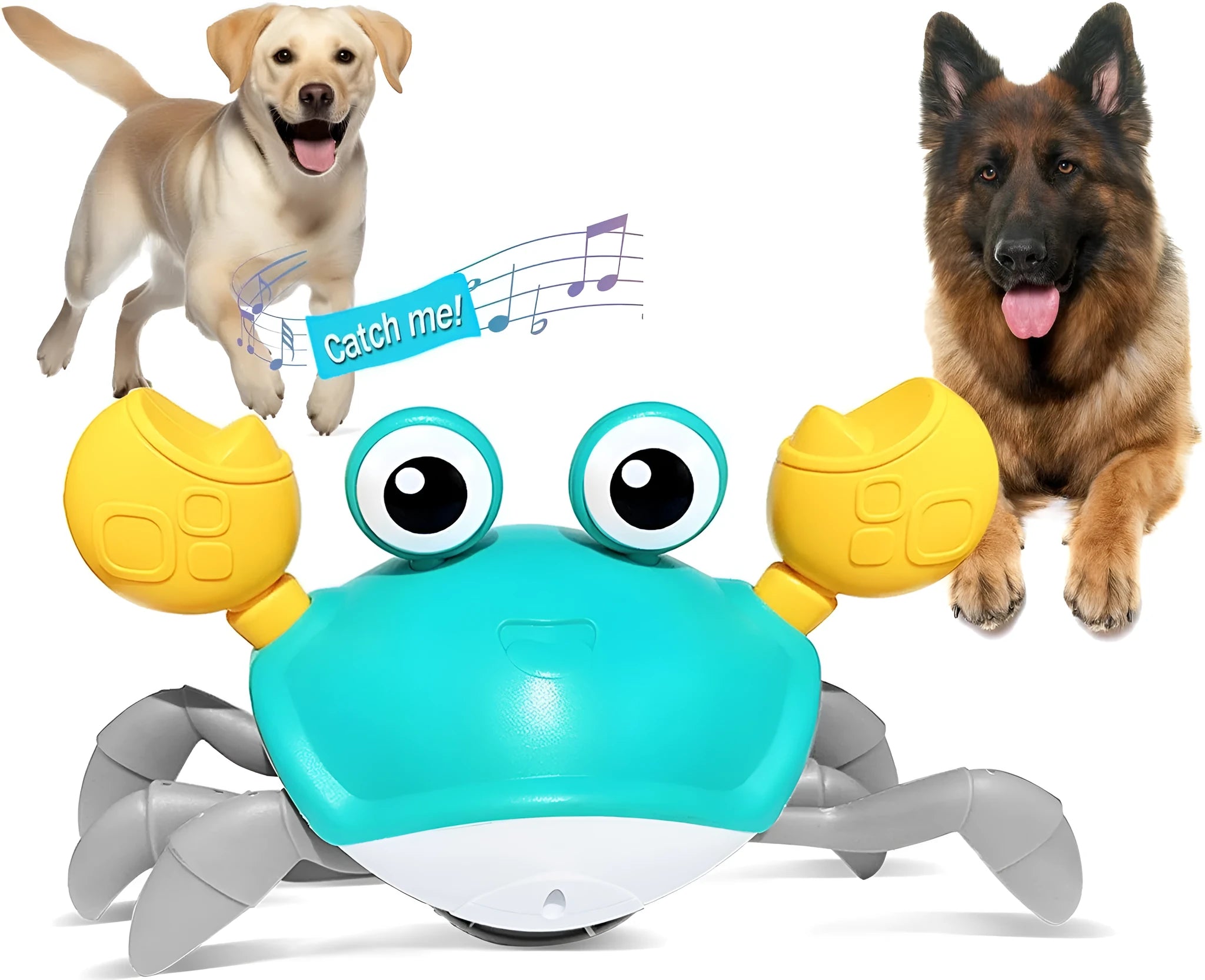 Blue electronic crab dog toy with lights on a floor, demonstrating side-crawling movement.