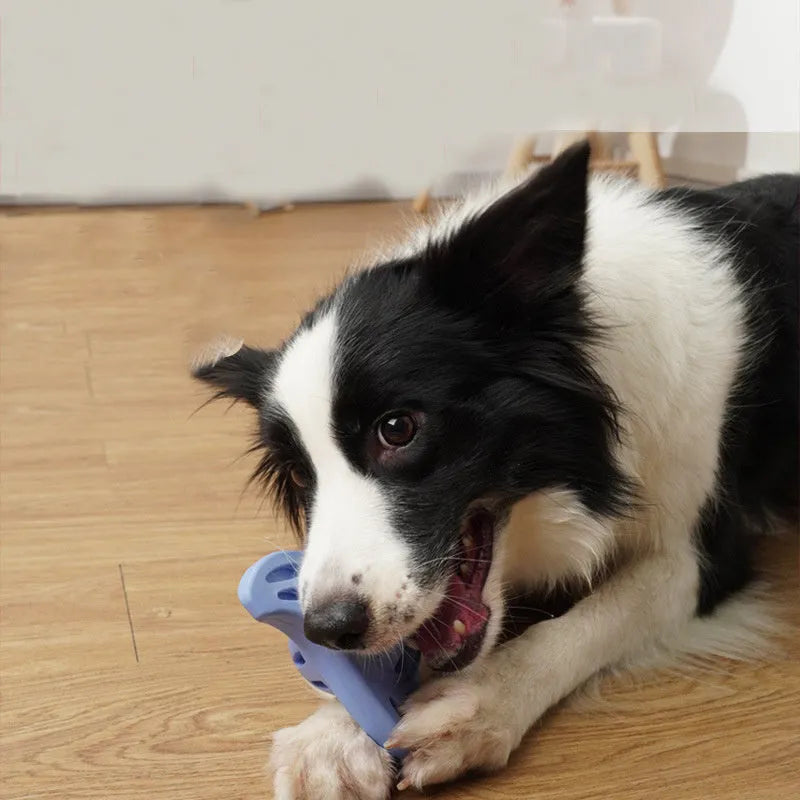 Blue boomerang-shaped molar dog chew toy for medium and large breed dogs on a plain background