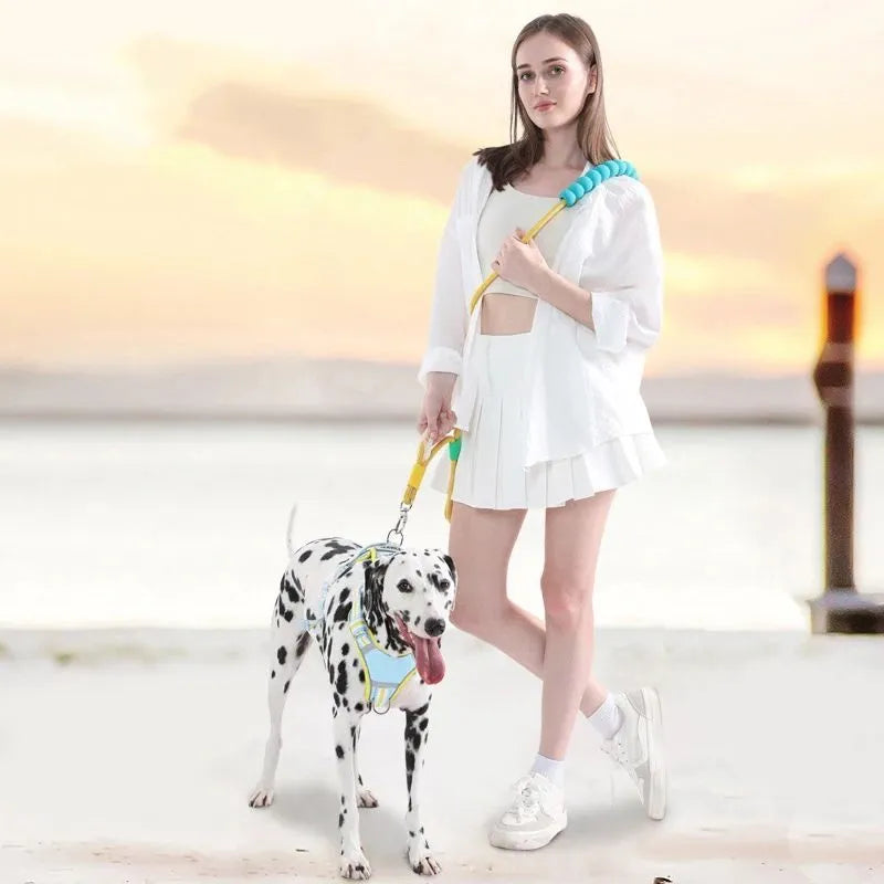 Dog traction leash with foam handle showing 140cm nylon rope in available colours