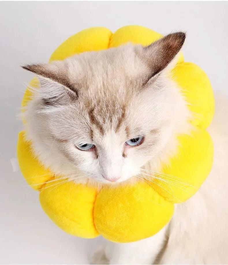 Sunflower pattern cotton pet recovery collar for dogs and cats with adjustable neck sizing