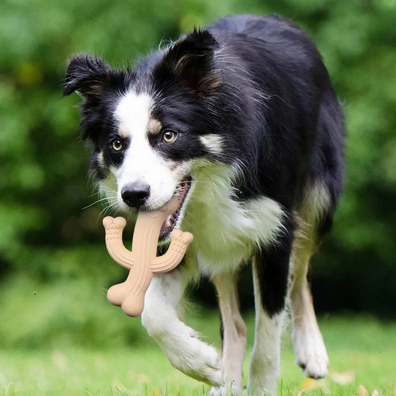 Beige, blue, and purple cactus-shaped dog chew toy made from bamboo fibre and rubber on a white background.