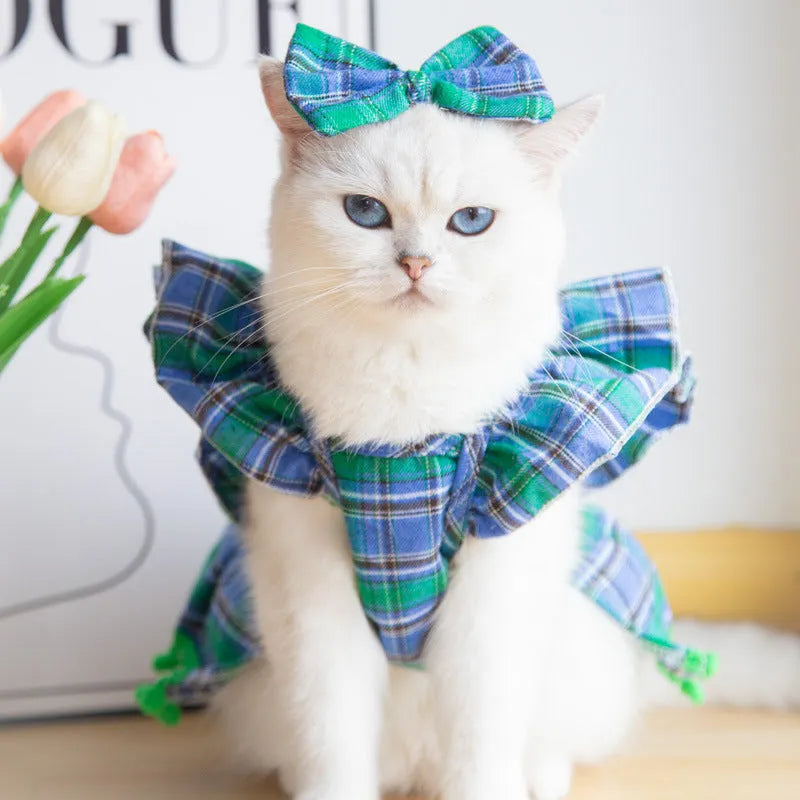 Red tartan Christmas skirt and matching head flower on a pet, with a jingling bell necklace accessory.