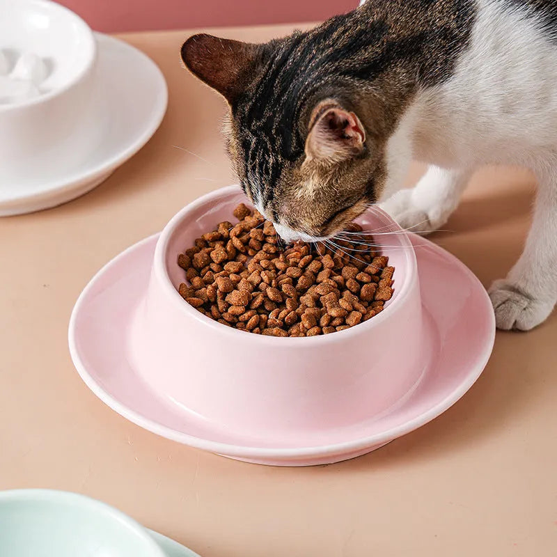 Green ceramic anti-choking slow food bowl for cats and dogs on a flat surface.