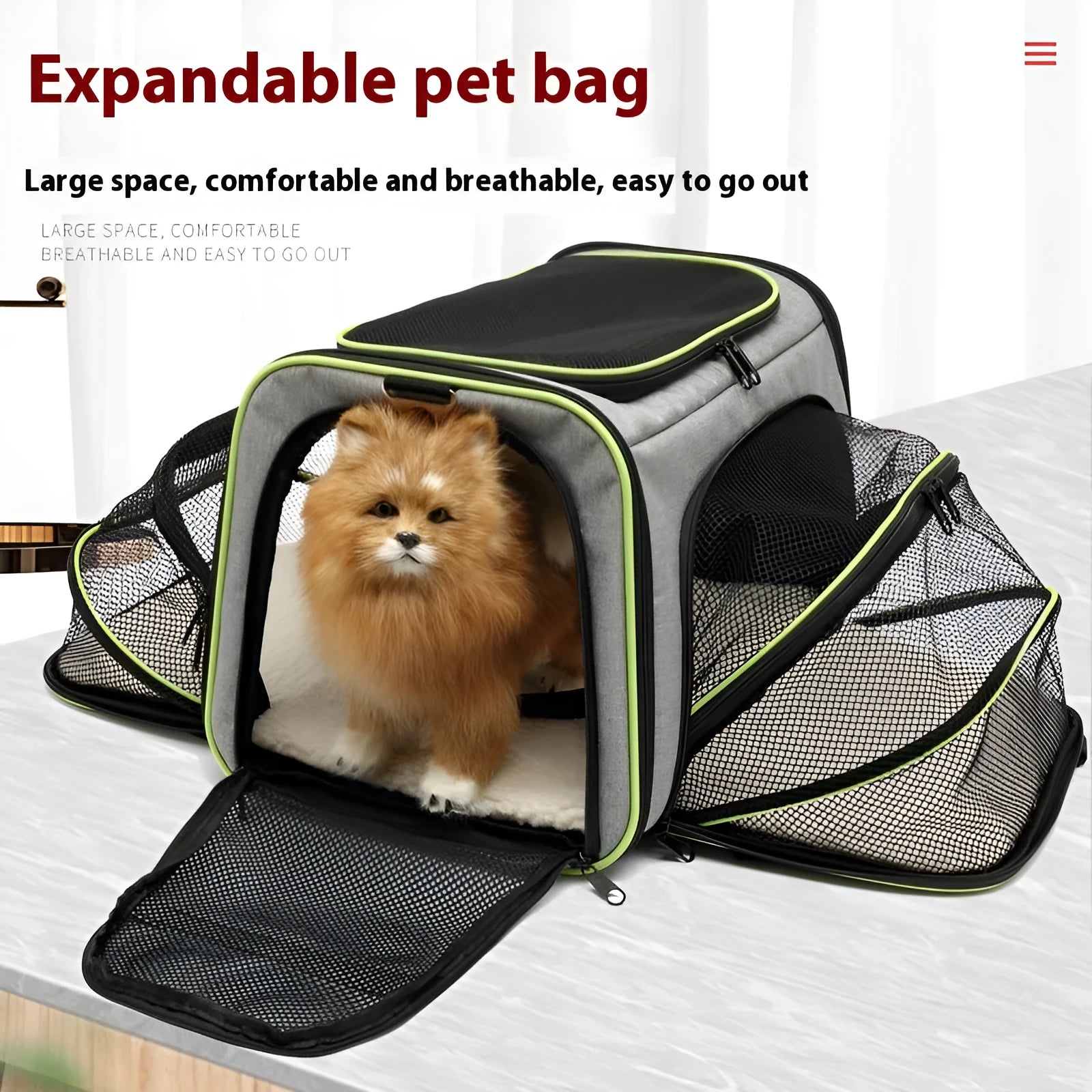 Black 600D cation fabric cat carrier bag with red piping shown in large size