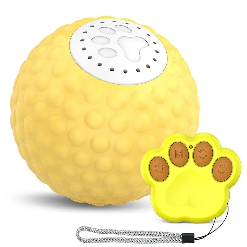 Blue remote control cat toy ball with flashing LEDs next to its handheld remote controller.