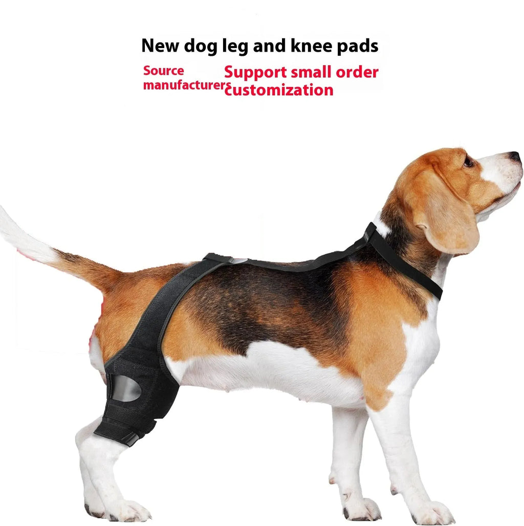 Neoprene dog hind leg knee brace assist strap shown in collar black colour, sized for medium dog.