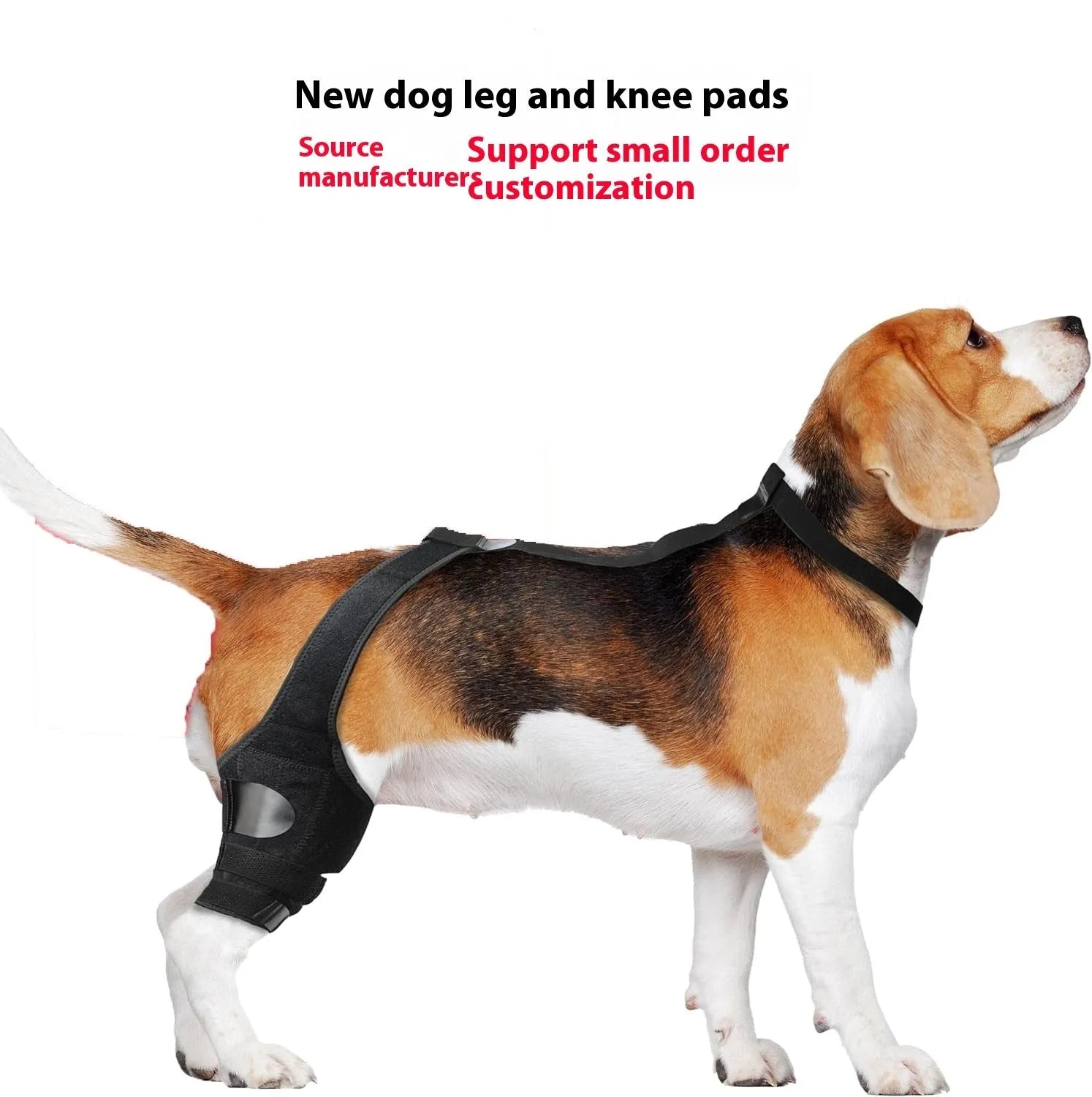 Neoprene dog hind leg knee brace assist strap shown in collar black colour, sized for medium dog.