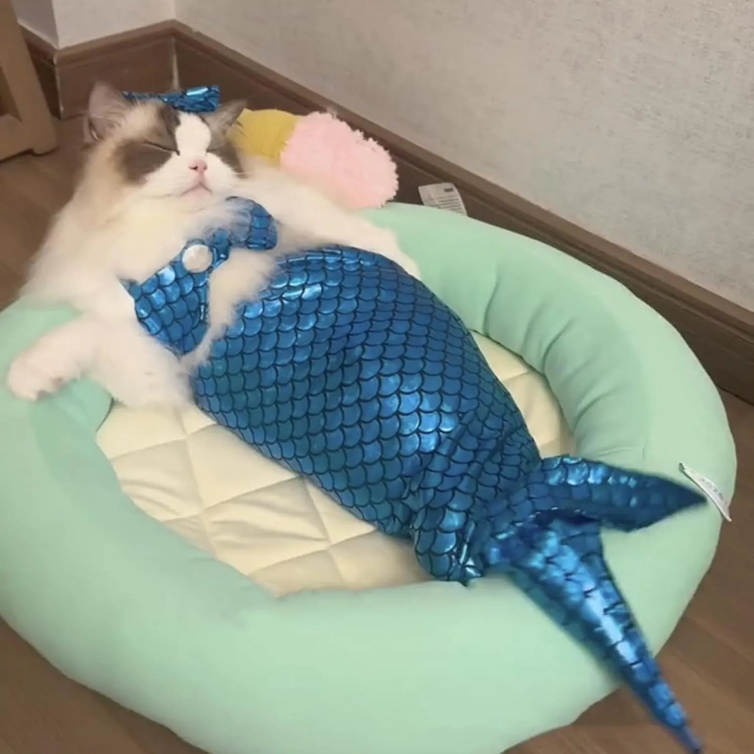 Blue pet mermaid costume with scale pattern fishtail on a small cat