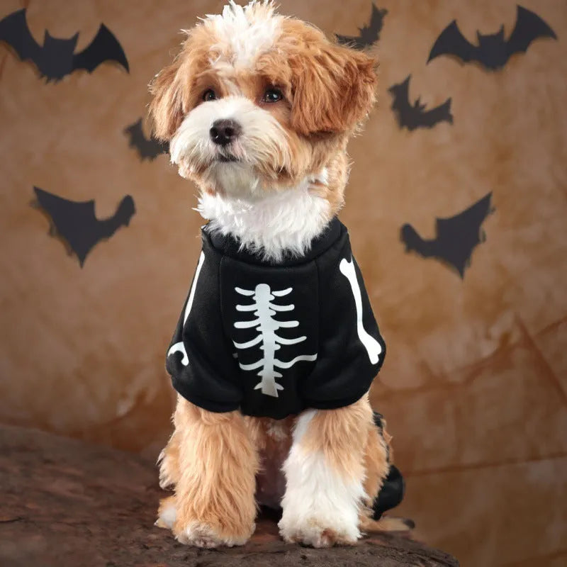 Halloween pet clothing with luminous skull bones design on four-legged dog costume