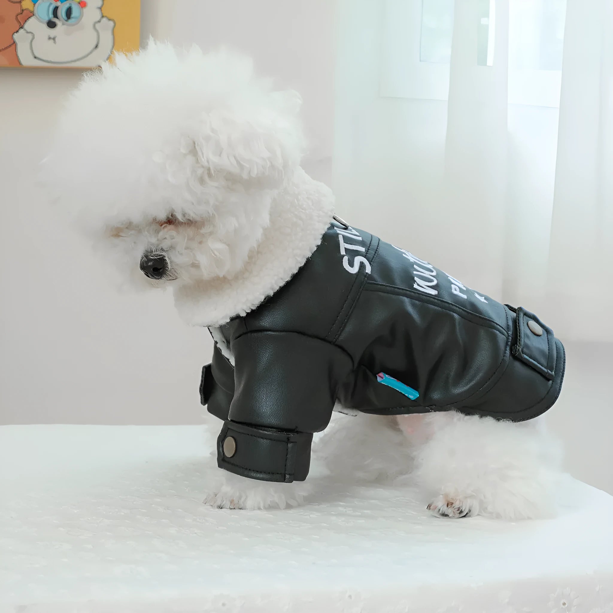 Beige fleece lined padded dog coat in large fur coat style on a mannequin, size label shown.