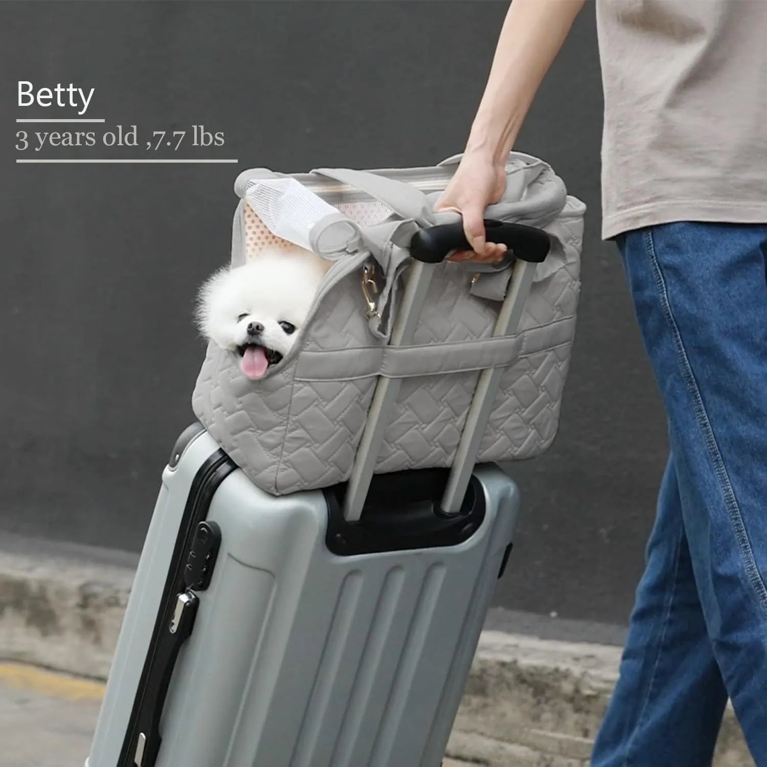 Grey handbag-style pet carrier for cats and small dogs with mesh windows and multiple pockets.