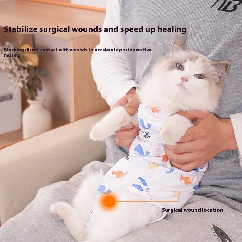 Cat wearing a printed polyester recovery suit with Velcro closures after sterilisation surgery.