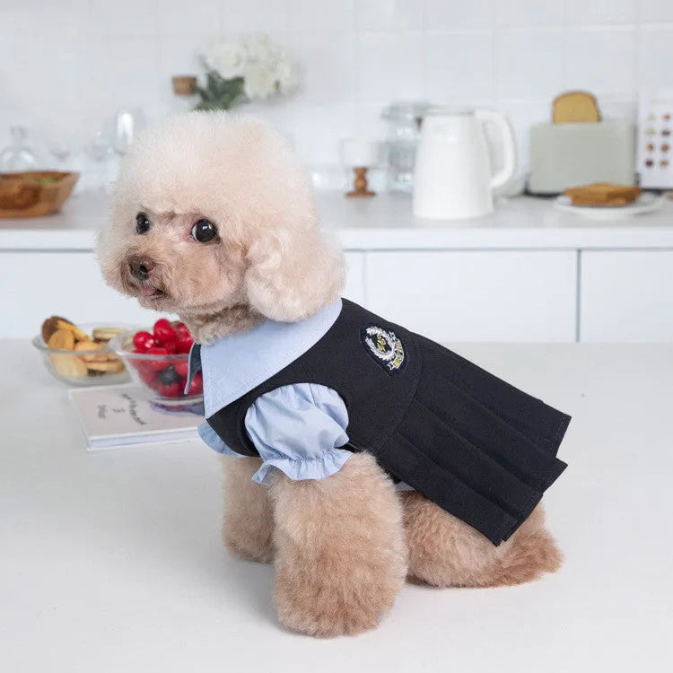 Dark grey polyester dog jumper on a mannequin, showing casual style.